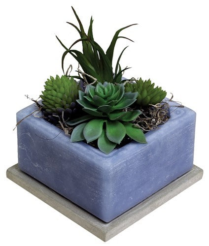 Succulent | Blue |  Scented Wax by Habersham