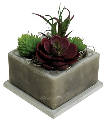 Succulent with flower - Scented Wax by Habersham