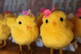 Peep Spring & Easter Ornaments & Home Decor