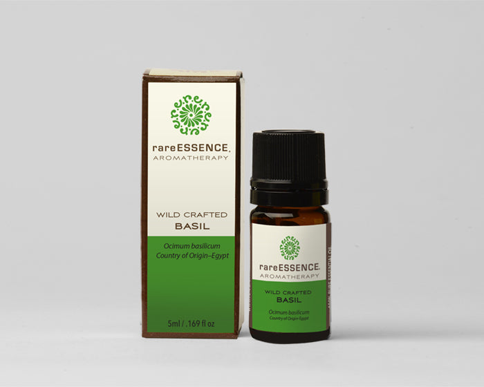 Basil Essential Oil Aromatherapy
