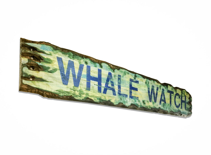 whale watch sign